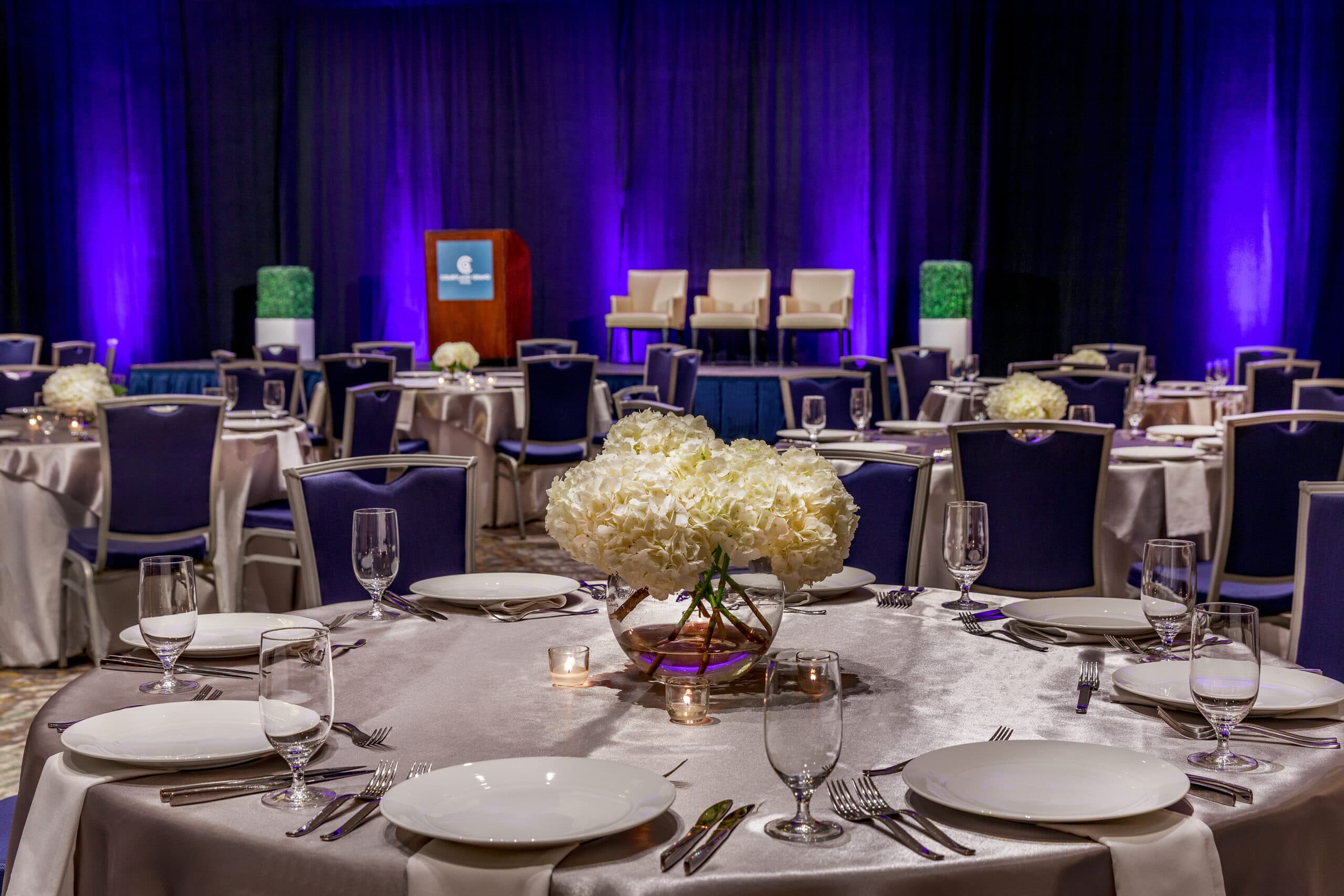Detail of a Capitol Ballroom table — silver linens, white hydrangeas, candle centerpiece